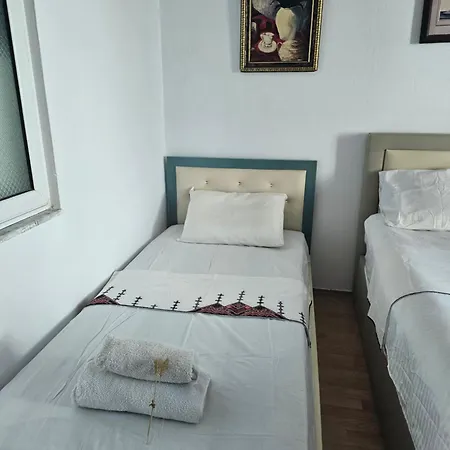 Karafili * Pogradec