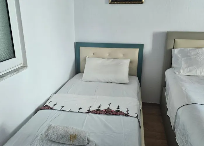 Karafili * Pogradec