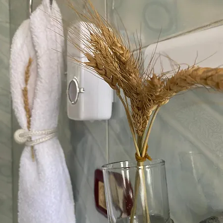 Karafili Lägenhet *